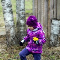 Весна идет :: Александр Силинский