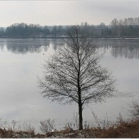 Зима отступила :: Aleksandr Gal