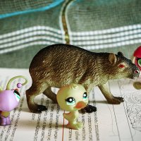 Прогулка :: Владимир Кроливец