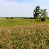 Простор родного края. :: nadyasilyuk Вознюк Простор родного края. :: nadyasilyuk Вознюк