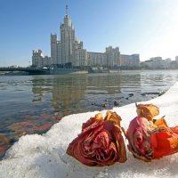 Котельническая наб 15 марта :: Михаил Бибичков