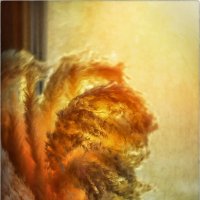 Вечерний свет... :: Oleg Rastorguev