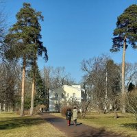 Парк Александрия. Март :: Наталья Герасимова Парк Александрия. Март :: Наталья Герасимова