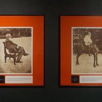 Л.Н. Толстой :: zavitok *