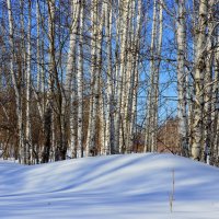 Середина марта в Юго-Западной Сибири :: Татьяна Лютаева