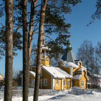 Солнечный день :: Александр Силинский