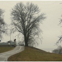 Променад :: Aleksandr Gal