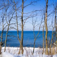 Февраль, Балтийское море и побережье, Калининградская область :: Рита Симонова