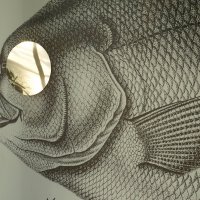 PRO рыб(-у).... :: Алёна Савина