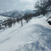 Talgar. :: Murat Bukaev 