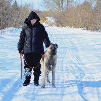 Собачка " скромных размеров". :: Михаил Курзанцев