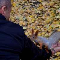 В парке :: Savayr 