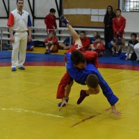 Бросок :: Александр Гриднев