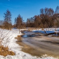 Середина Марта 4 :: Андрей Дворников