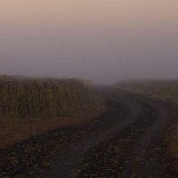 Туманно :: Олег Денисов