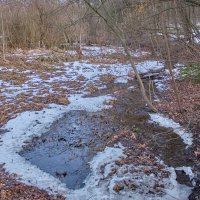 Весенние картинки ... :: Ravile 