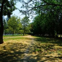 Керчь. Тропинка Комсомольского парка. :: Пётр Чернега