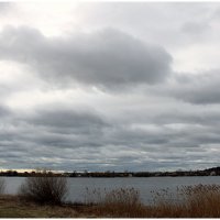 *** :: Aleksandr Gal