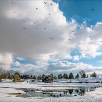 Мороз и солнце :: **** vedin