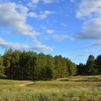 **** :: Виктор 