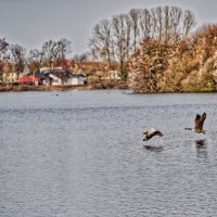 Озеро Липпа :: Jakob Dick