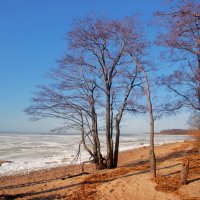 *** :: Сергей Григорьев