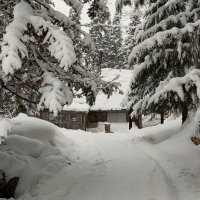 Чудесный день!!! :: Радмир Арсеньев