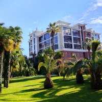 Платановая аллея. Пальмовый уголок :: Tata Wolf