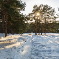 Мартовское солнце :: Александр Синдерёв