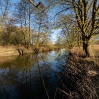 В марте месяце... :: Николай Гирш