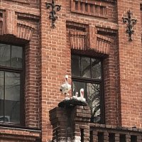 Центр семейного здоровья! :: Надежда 