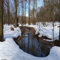 Измайловский парк в марте :: Андрей Лукьянов
