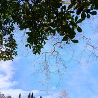 Новая набережная реки Сочи :: Tata Wolf Новая набережная реки Сочи :: Tata Wolf