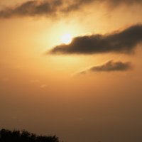 Шоколадный вечер. :: Марина Леонидовна