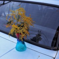 На праздник :: Юрий Гайворонскiий