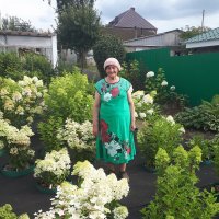 Прошлогодняя гортензия. :: СЕРГЕЙ ФИЛОЧКИН