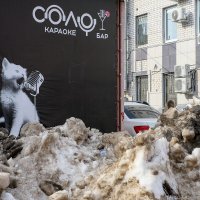 Весны начало... :: Влад Никишин Весны начало... :: Влад Никишин