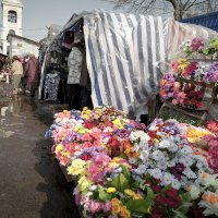 Из прошлых вёсен      2011 :: Владимир Носов