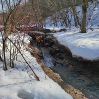 Половодье началось :: Игорь Ч.