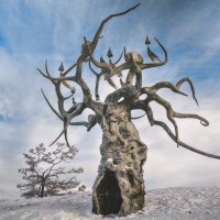 Отец Байкал :: Anna Ivanova