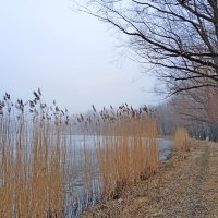 А в тумане прогуляться ? :: Лия ☼ А в тумане прогуляться ? :: Лия ☼