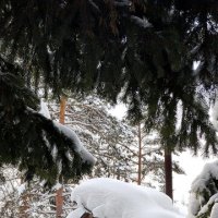 Баня :: Радмир Арсеньев