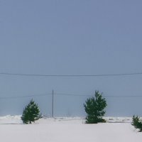 без названия :: fogmeadowww m