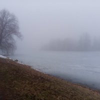 Туман :: Сапсан 