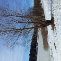 Март как весенний месяц :: Андрей Лукьянов