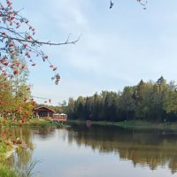 в парке живут журавли :: Галина R...