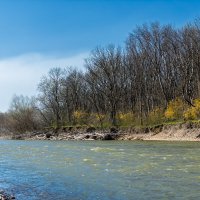Река Кубань :: Игорь Сикорский