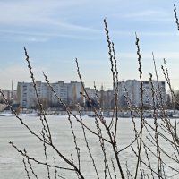 Проснулась природа :: Валерий Иванович