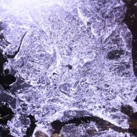 Ледяная хрюша :: Людмила Смородинская Ледяная хрюша :: Людмила Смородинская