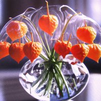 Красивый букетик :: Людмила Смородинская